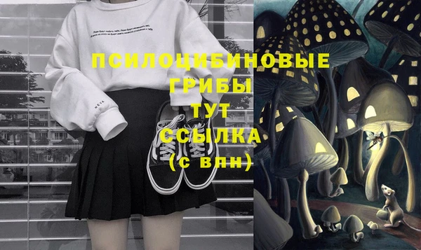 кокс Магас